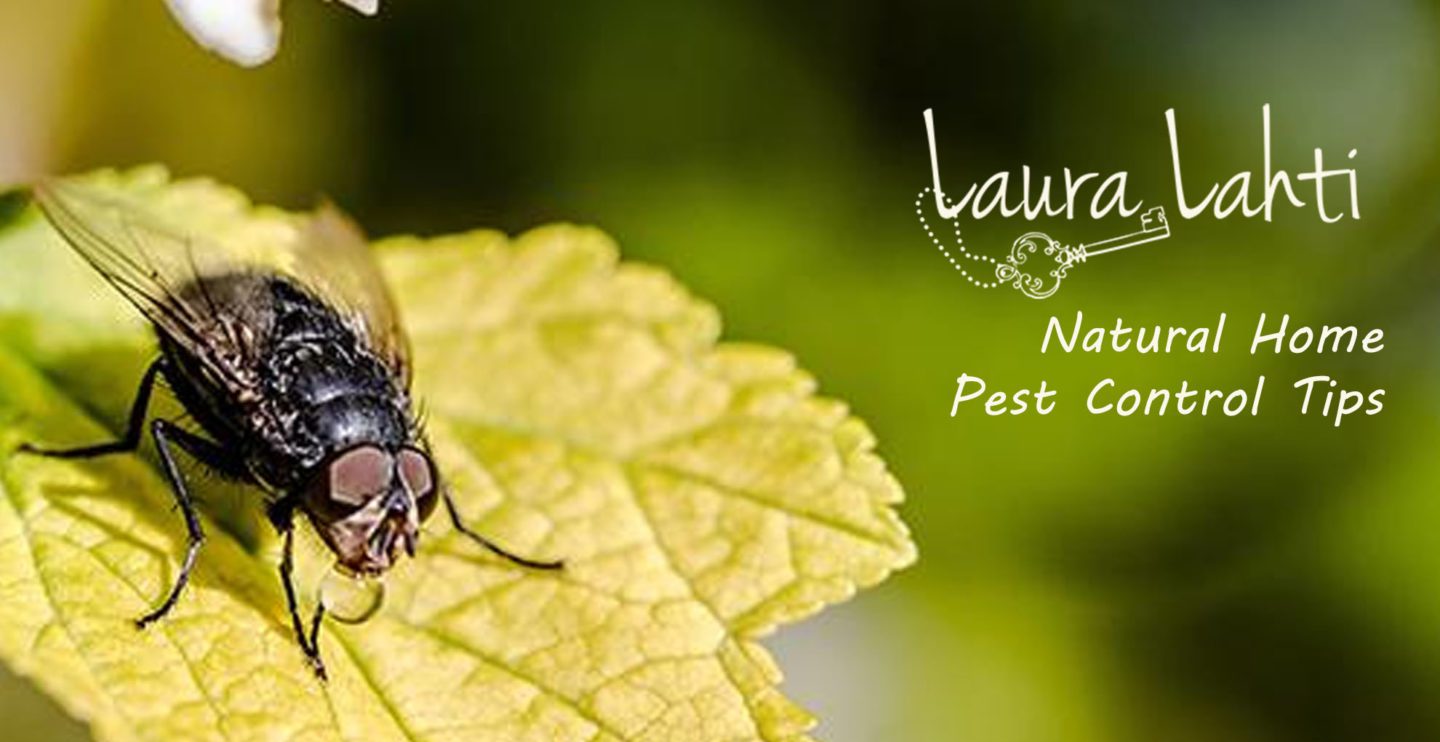 Laura-Lahti-Natural-Home-Pest-Control-Tips