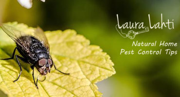 Laura-Lahti-Natural-Home-Pest-Control-Tips